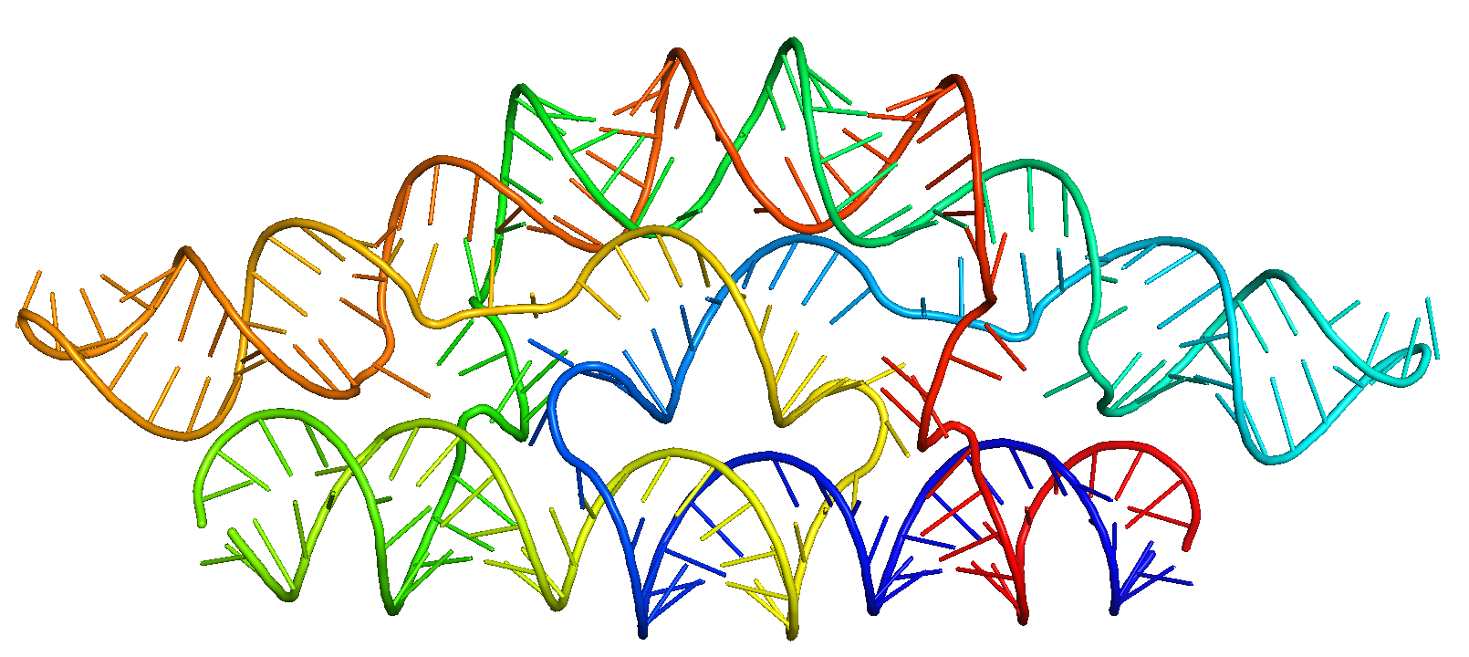 Example of a c2 pseudocycle.