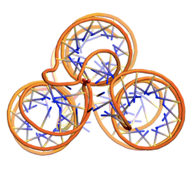 Example of a the tertiary structure that can be produced with this calculation.