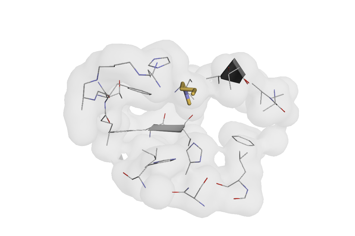 Annotated pocket residues visualization