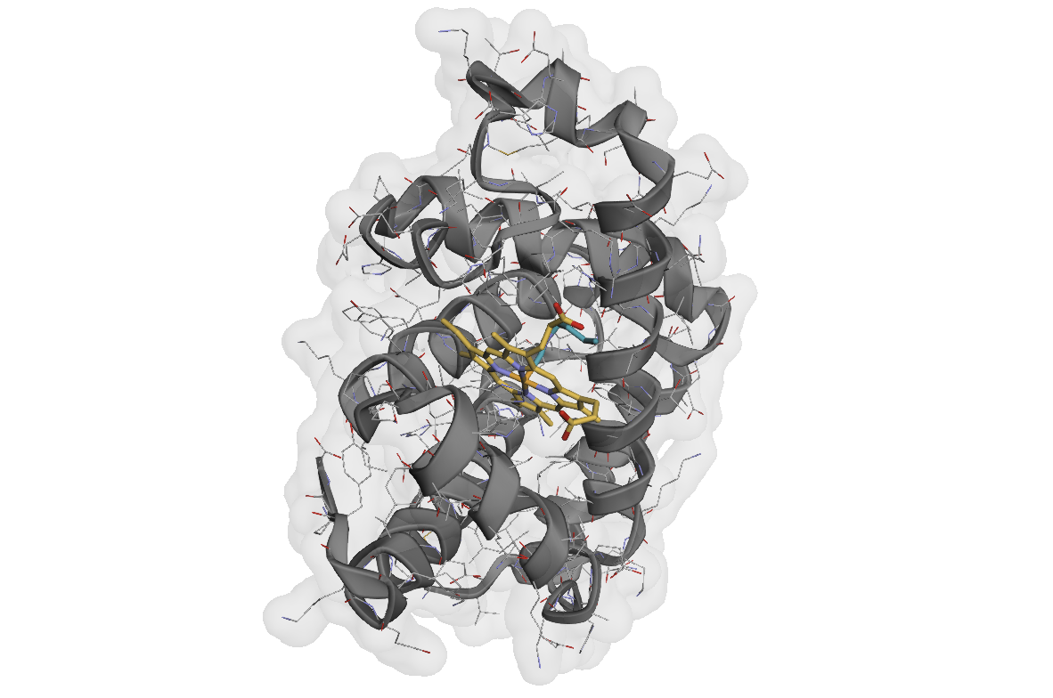Myoglobin structure visualization
