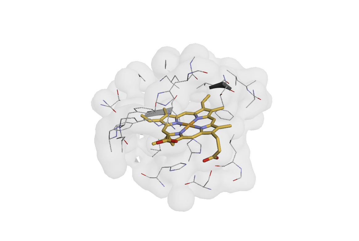 Ligand pocket visualization