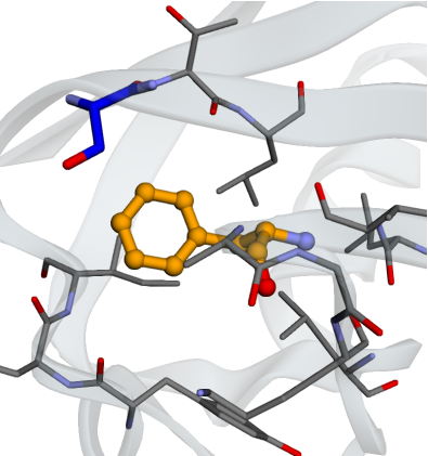 Static input geometry: Phe45 in orange, surrounded by its protein neighbors.